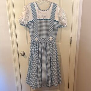 Adult Dorothy costume